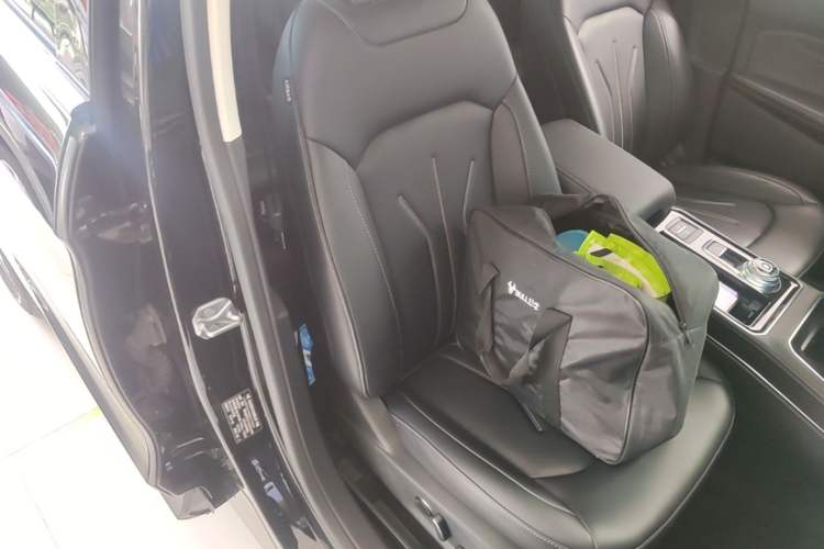 Used Ford Edge 2021 PLUS EcoBoost 245 Two-Wheel-Drive Platinum Edition 5 Seats Right Front Seat