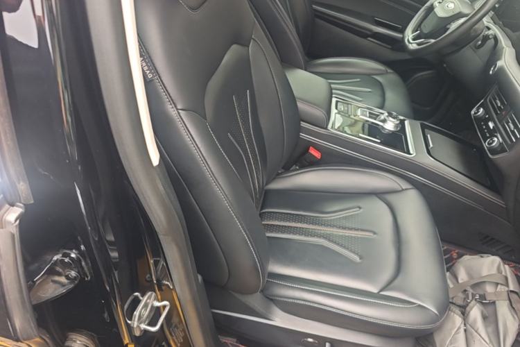Used Ford Edge 2021 PLUS EcoBoost 245 Two-Wheel-Drive Platinum Edition 5 Seats Right Front Seat
