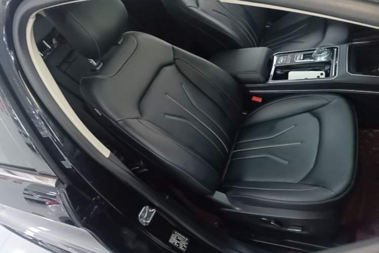 Used Ford Edge 2021 PLUS EcoBoost 245 Two-Wheel-Drive Platinum Edition 5 Seats Right Front Seat
