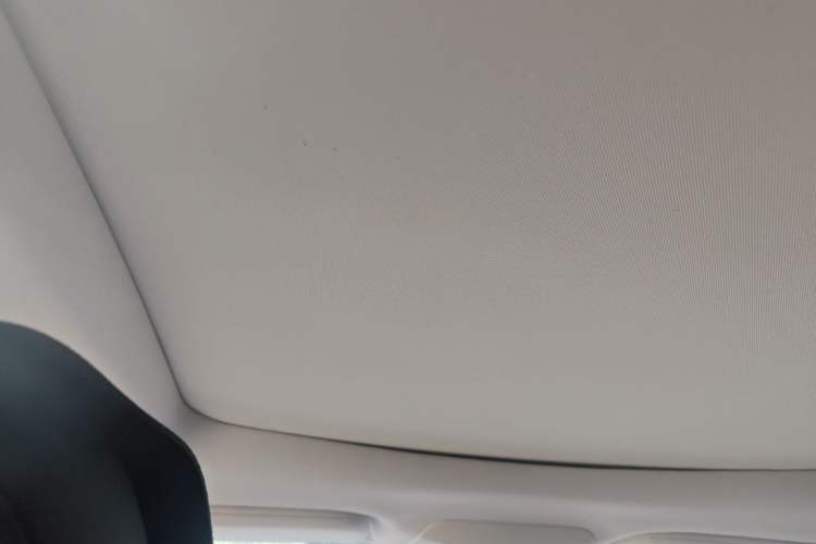 Used Ford Edge 2021 PLUS EcoBoost 245 Two-Wheel-Drive Platinum Edition 5 Seats Headliner
