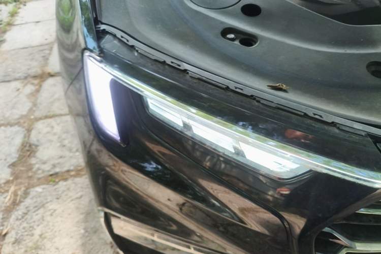 Used Ford Equator 2021 EcoBoost 225 Premier 6-Seater Right Front Headlight