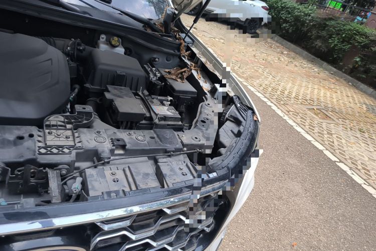 Used Ford Equator 2021 EcoBoost 225 Premier 6-Seater Engine Bay Left