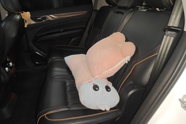 Used Ford Equator 2021 EcoBoost 225 Premier PLUS 7-Seater Left Rear Seat