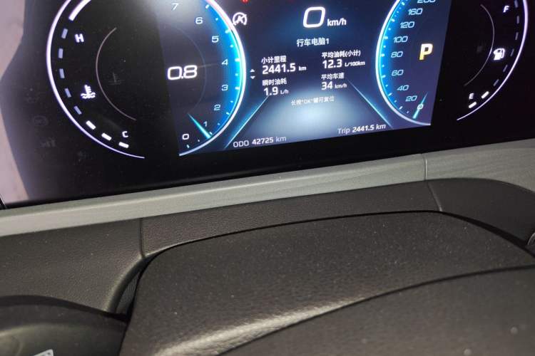 Used Ford Equator 2021 EcoBoost 225 Platinum Edition 5-Seater Odometer Close Up