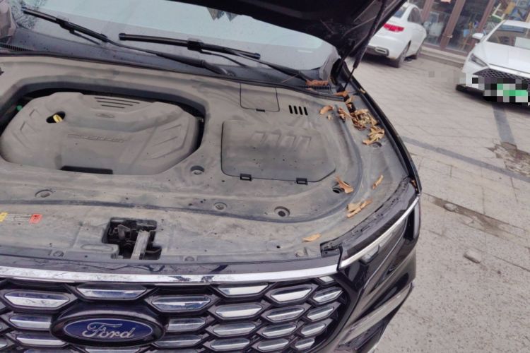 Used Ford Equator 2023 EcoBoost 225 Premier 7-Seater (2/2/3) Engine Bay Left