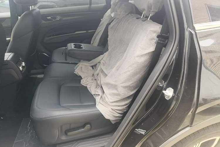 Used Ford Equator New Energy 2025 Luxury Edition Left Rear Seat