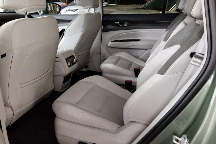 Used Ford Equator New Energy 2025 Luxury Edition Left Rear Seat