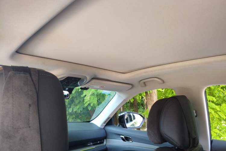 Used Ford Equator Sport 2022 EcoBoost 170 Platinum Edition Headliner