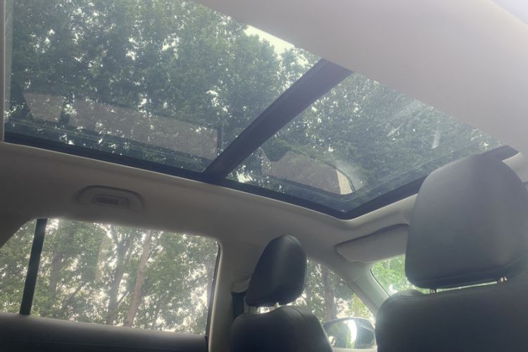 Used Ford Equator Sport 2022 EcoBoost 170 Platinum Edition Headliner