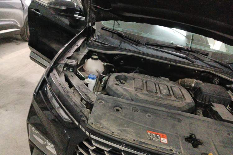 Used Ford Equator Sport 2023 EcoBoost 170 Elite Model Engine Bay Right