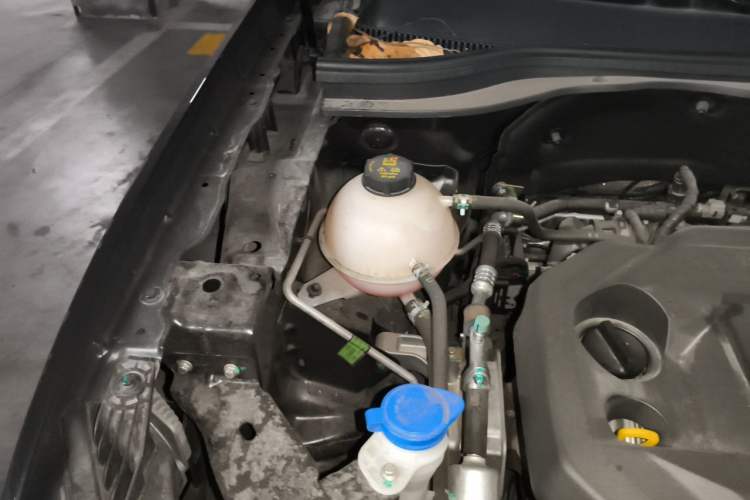 Used Ford Equator Sport 2023 EcoBoost 170 Prime Edition Engine Bay Right