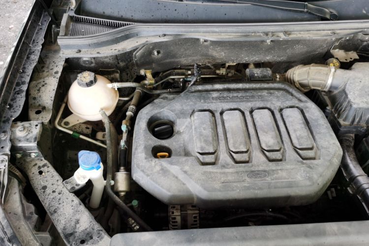 Used Ford Equator Sport 2023 EcoBoost 170 Elite Model Engine Bay Right