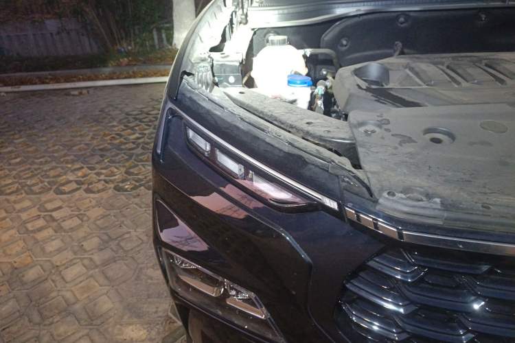 Used Ford Equator Sport 2023 EcoBoost 170 Prime Edition Right Front Headlight