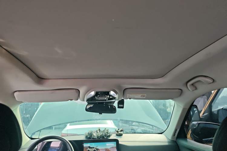 Used Ford Equator Sport 2025 EcoBoost 170 Platinum Edition Headliner