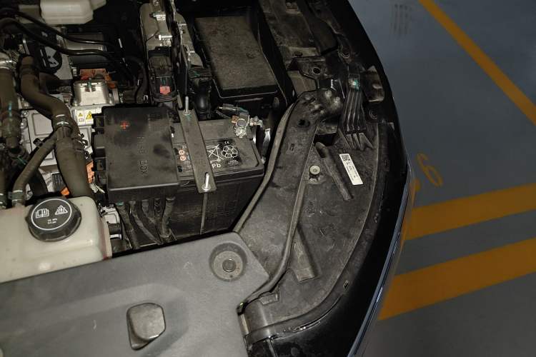 Used Ford Equator Sport New Energy 2025 Platinum Edition Engine Bay Left