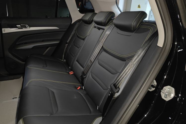 Used Ford Equator Sport New Energy 2025 Platinum Edition Left Rear Seat