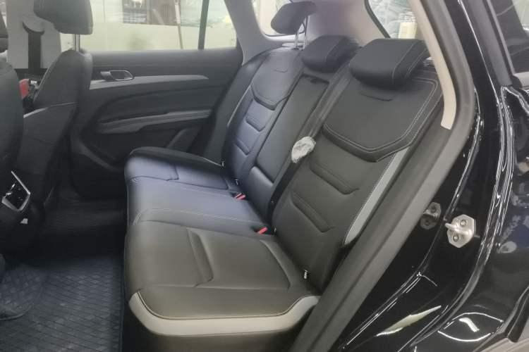 Used Ford Equator Sport New Energy 2025 Platinum Edition Left Rear Seat