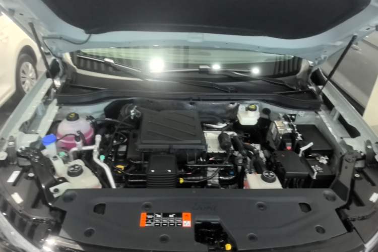 Used Ford Equator Sport New Energy 2025 Platinum Edition Engine Bay