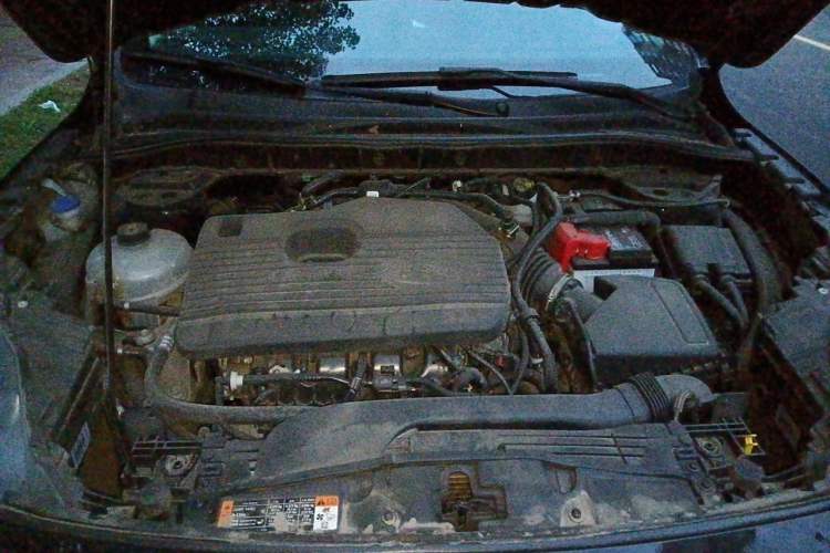 Used Ford Escape 2020 EcoBoost 245 Two-Wheel-Drive Comfort Edition Engine Bay