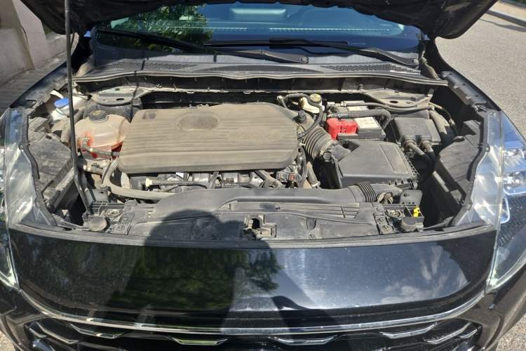 Used Ford Escape 2020 EcoBoost 245 Four-Wheel Drive Luxury Edition Engine Bay