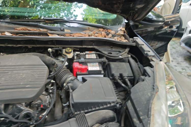 Used Ford Escape 2020 EcoBoost 245 Four-Wheel Drive Luxury Edition Engine Bay Left