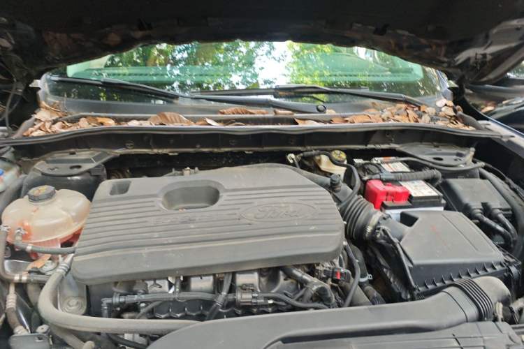 Used Ford Escape 2020 EcoBoost 245 Four-Wheel Drive Luxury Edition Engine Bay