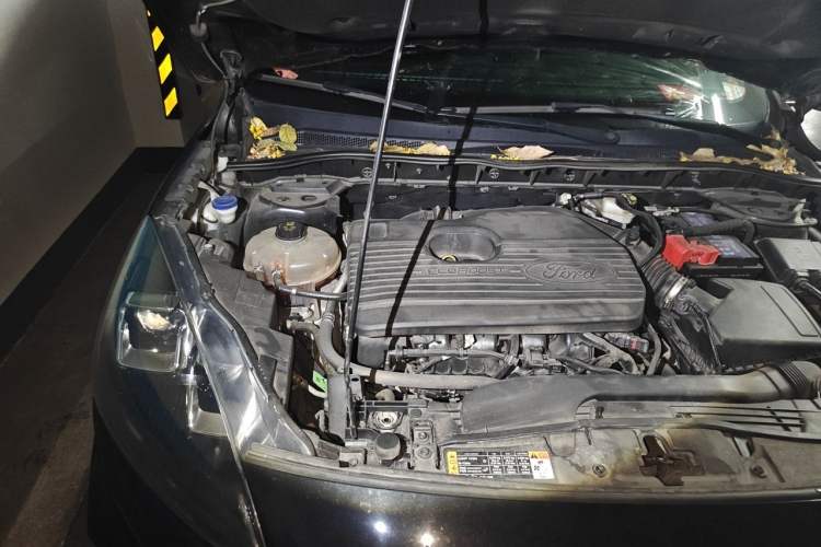 Used Ford Escape 2020 EcoBoost 245 Four-Wheel Drive ST-LINE Deluxe Edition Engine Bay Right