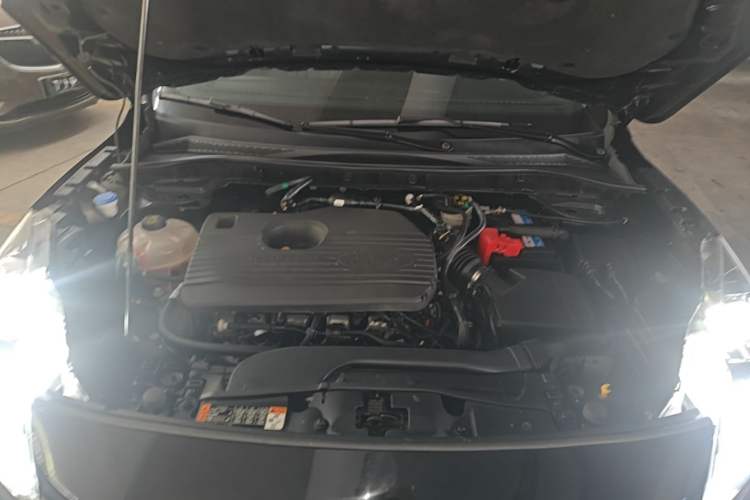 Used Ford Escape 2020 EcoBoost 245 Two-Wheel Drive Smart & Enjoyment Model Engine Bay