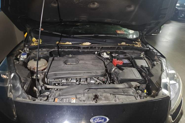 Used Ford Escape 2020 EcoBoost 245 Four-Wheel Drive ST-LINE Deluxe Edition Engine Bay