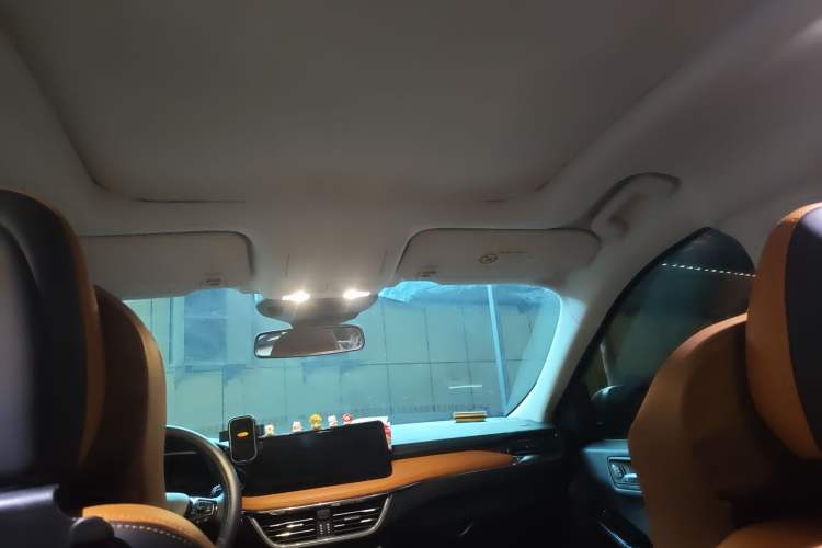 Used Ford Escape 2020 EcoBoost 245 Four-Wheel Drive Luxury Edition Headliner