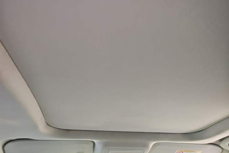 Used Ford Escape 2020 EcoBoost 245 Two-Wheel-Drive Titanium Edition Headliner