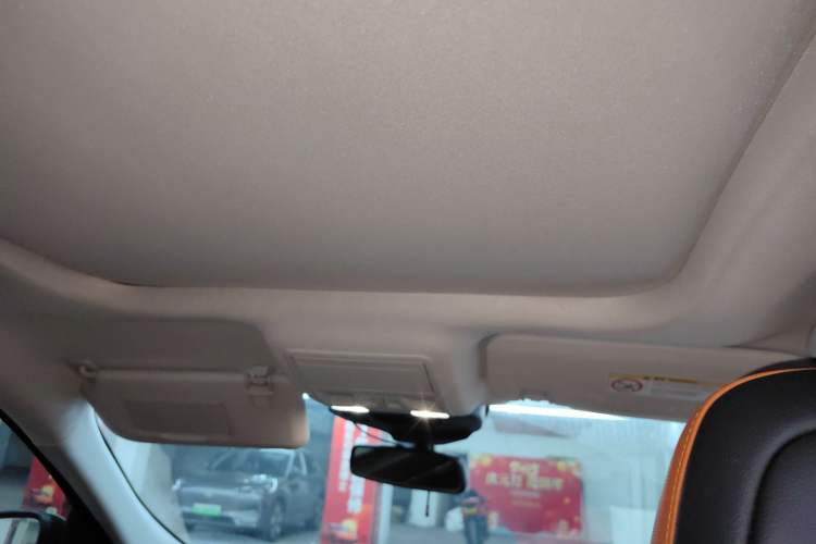 Used Ford Escape 2020 EcoBoost 245 Two-Wheel Drive Smart & Enjoyment Model Headliner