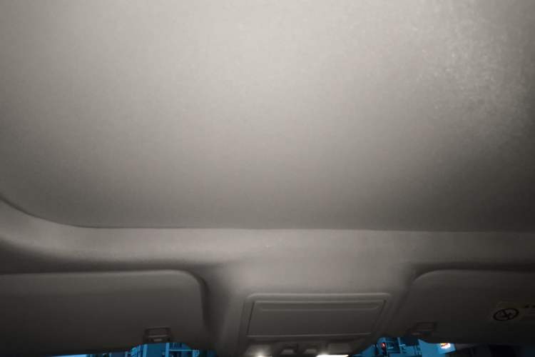 Used Ford Escape 2020 EcoBoost 245 Two-Wheel-Drive Titanium Edition Headliner