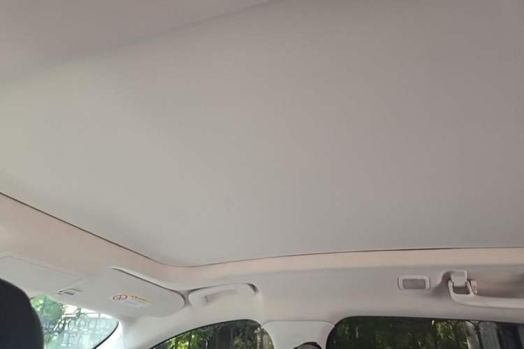 Used Ford Escape 2020 EcoBoost 245 Four-Wheel Drive Luxury Edition Headliner