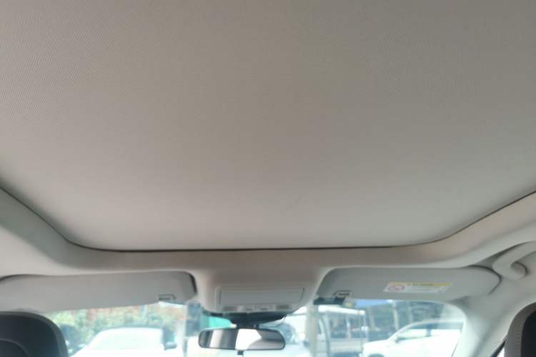 Used Ford Escape 2020 EcoBoost 245 Four-Wheel Drive Titanium Edition Headliner