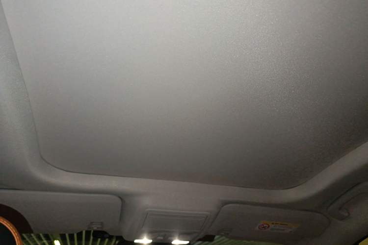 Used Ford Escape 2020 EcoBoost 245 Two-Wheel Drive Smart & Enjoyment Model Headliner