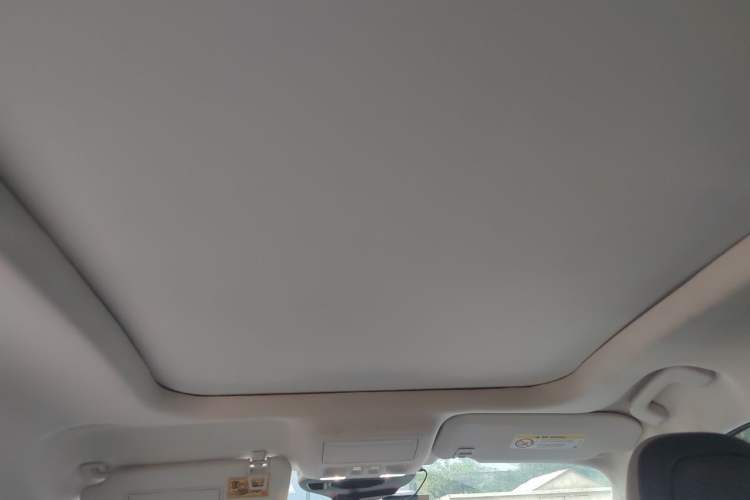 Used Ford Escape 2020 EcoBoost 245 Four-Wheel Drive Titanium Edition Headliner