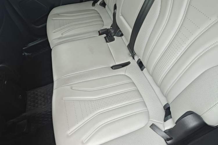 Used Ford Escape 2020 EcoBoost 245 Two-Wheel-Drive Titanium Edition Left Rear Seat