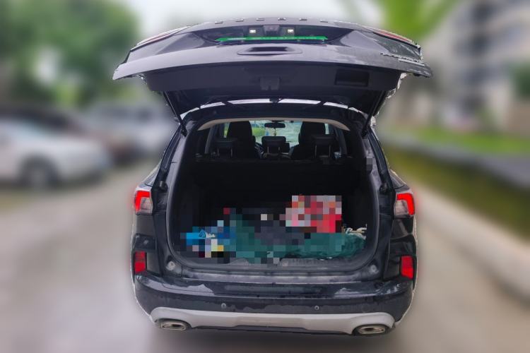 Used Ford Escape 2020 EcoBoost 245 Two-Wheel-Drive Titanium Edition Trunk