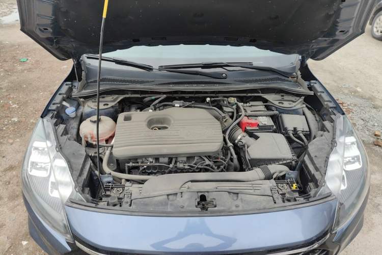 Used Ford Escape 2020 EcoBoost 245 Four-Wheel Drive Luxury Edition Engine Bay