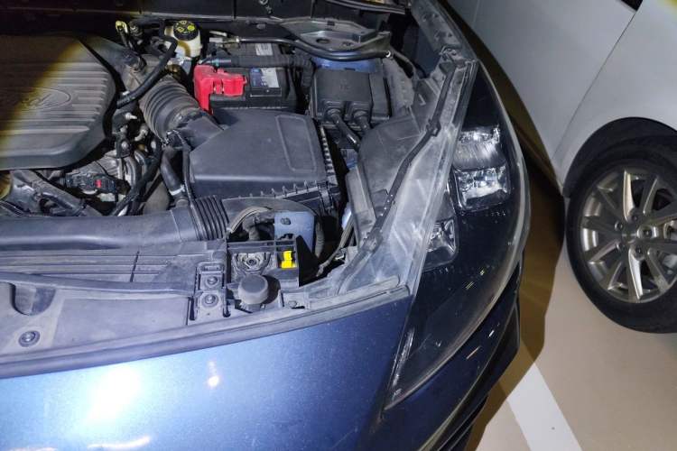 Used Ford Escape 2020 EcoBoost 245 Four-Wheel Drive ST-LINE Deluxe Edition Engine Bay Left