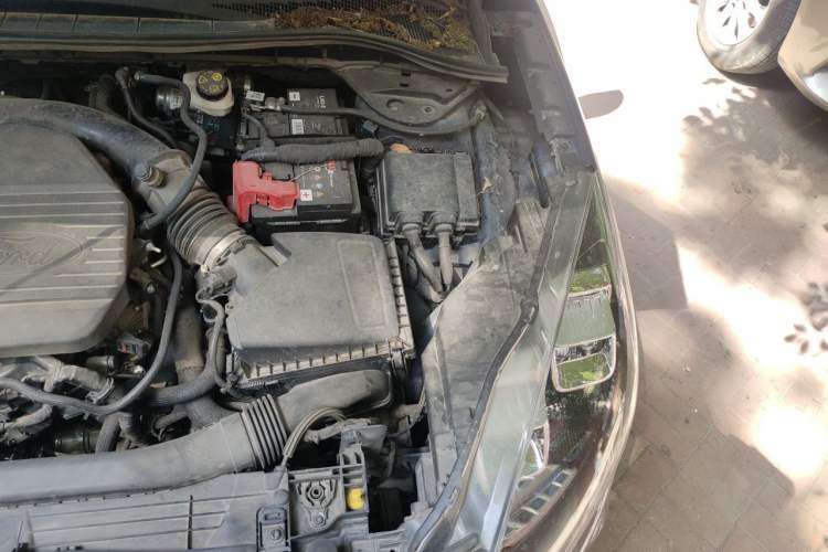 Used Ford Escape 2020 EcoBoost 245 Four-Wheel Drive ST-LINE Deluxe Edition Engine Bay Left