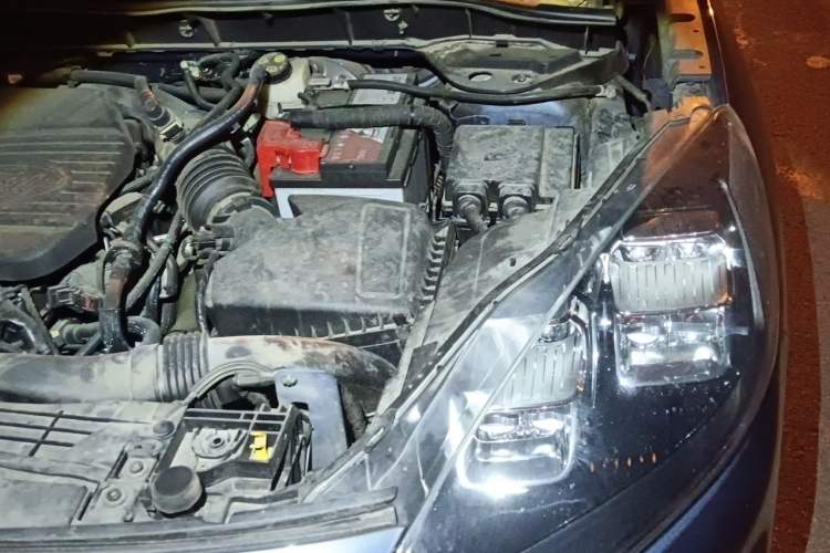 Used Ford Escape 2020 EcoBoost 245 Two-Wheel-Drive Titanium Edition Engine Bay Left