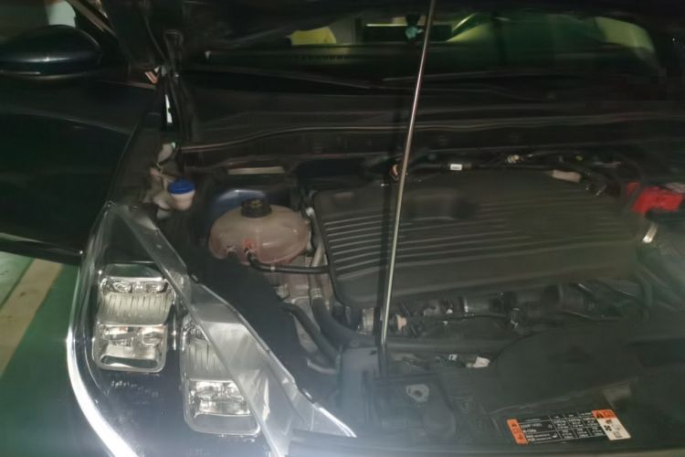 Used Ford Escape 2020 EcoBoost 245 Four-Wheel Drive Titanium Edition Engine Bay Right