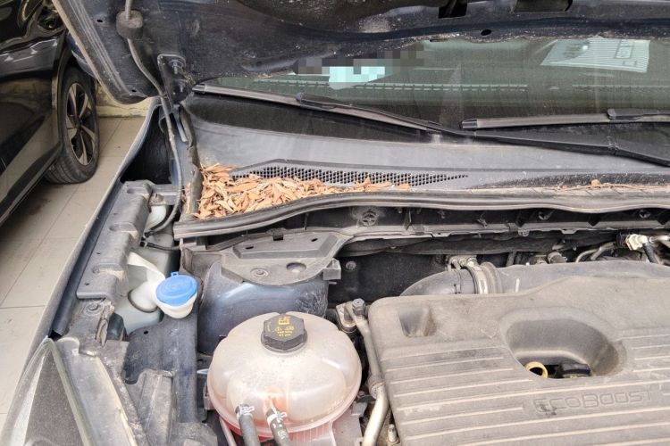 Used Ford Escape 2020 EcoBoost 245 Four-Wheel Drive ST-LINE Deluxe Edition Engine Bay Right