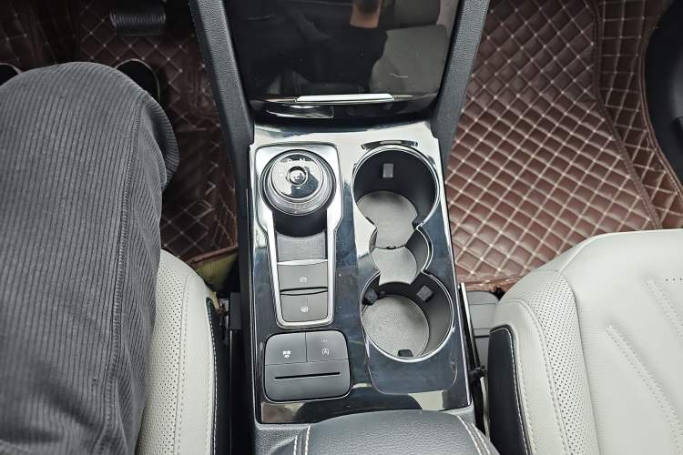 Used Ford Escape 2020 EcoBoost 245 Four-Wheel Drive Titanium Edition Gear Lever