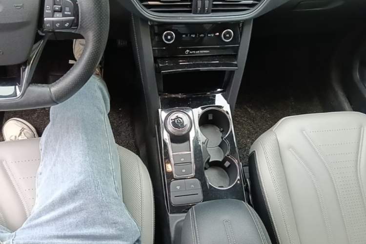 Used Ford Escape 2020 EcoBoost 245 Four-Wheel Drive Luxury Edition Gear Lever