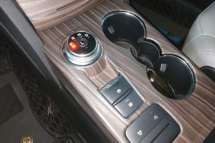 Used Ford Escape 2020 EcoBoost 245 Two-Wheel-Drive Titanium Edition Gear Lever
