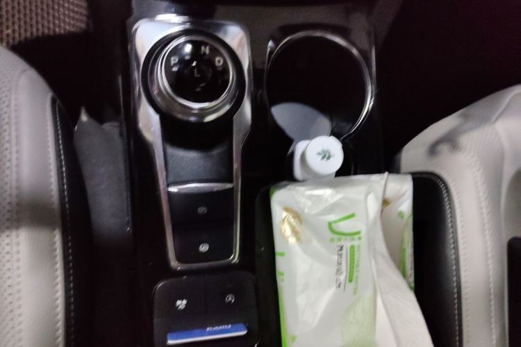 Used Ford Escape 2020 EcoBoost 245 4x4 Enjoyment Model Gear Lever