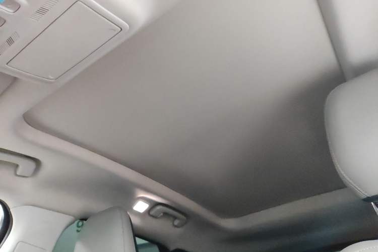 Used Ford Escape 2020 EcoBoost 245 Four-Wheel Drive ST-LINE Deluxe Edition Headliner